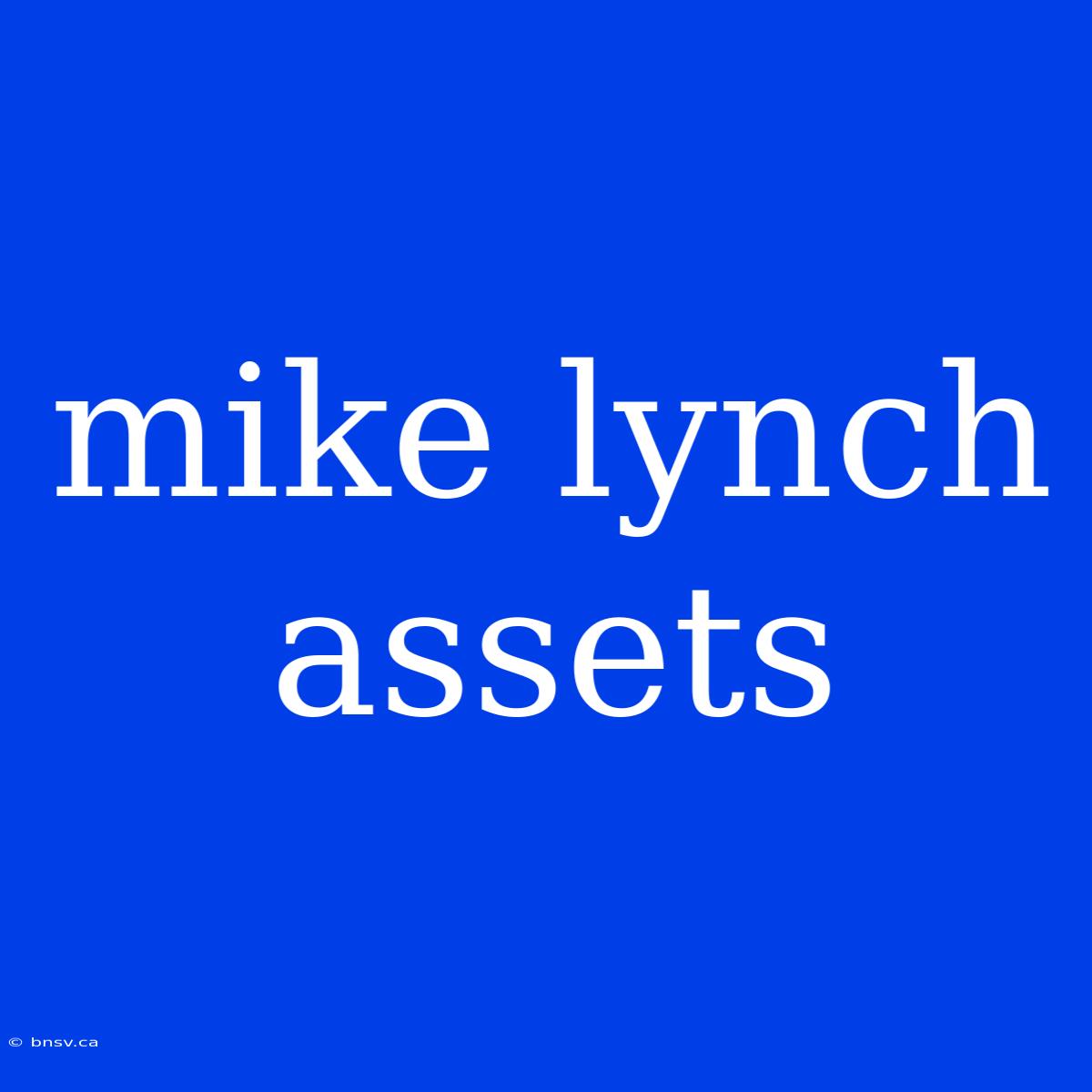 Mike Lynch Assets