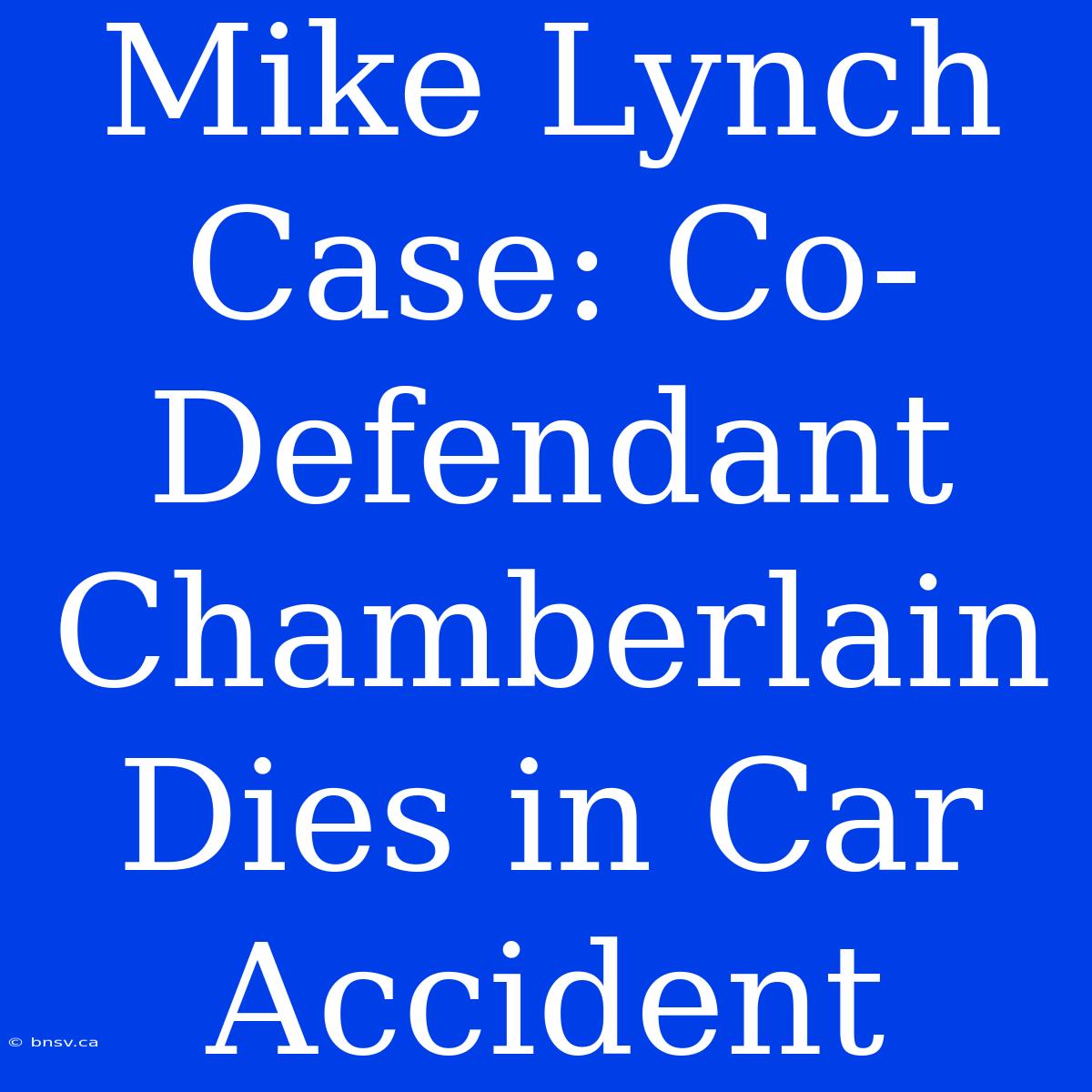 Mike Lynch Case: Co-Defendant Chamberlain Dies In Car Accident