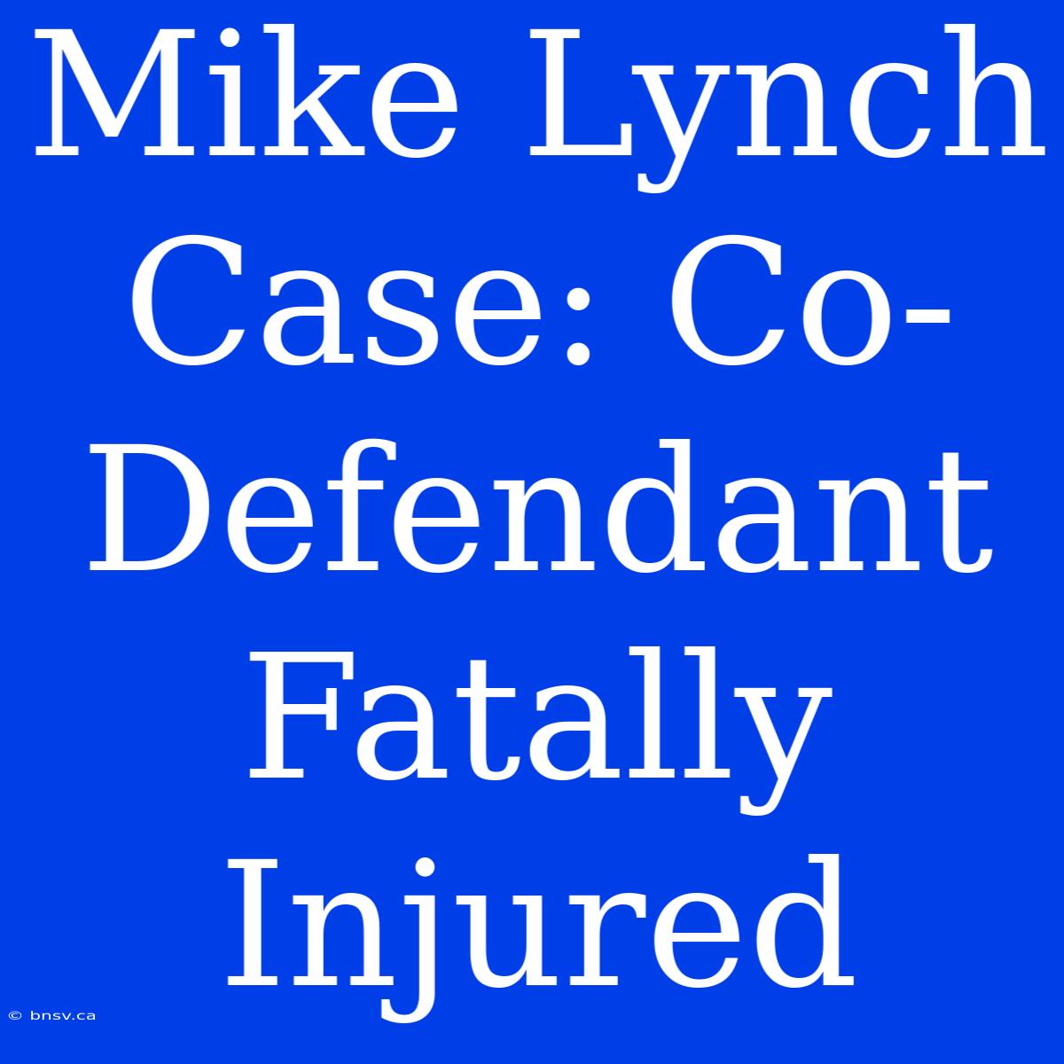 Mike Lynch Case: Co-Defendant Fatally Injured