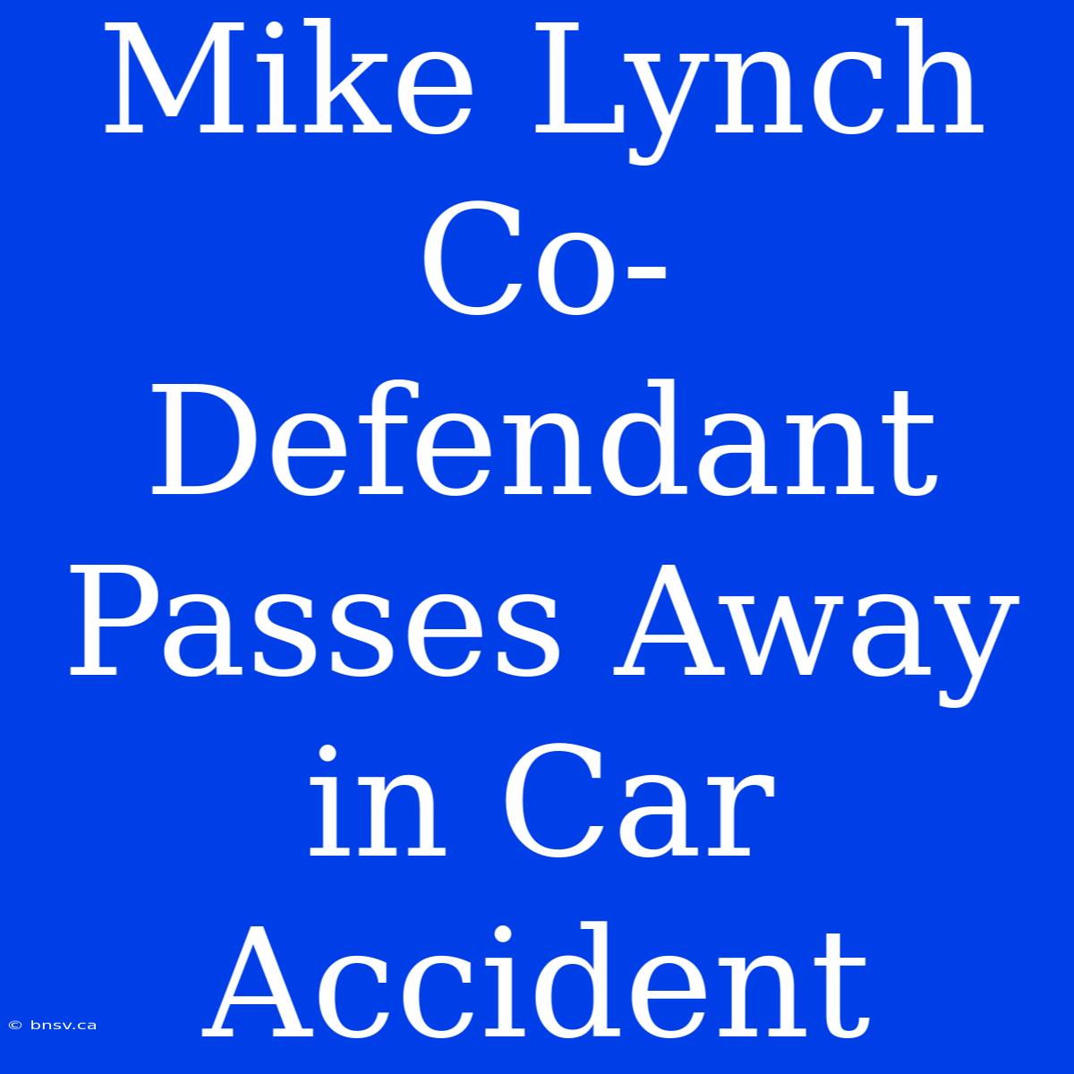 Mike Lynch Co-Defendant Passes Away In Car Accident