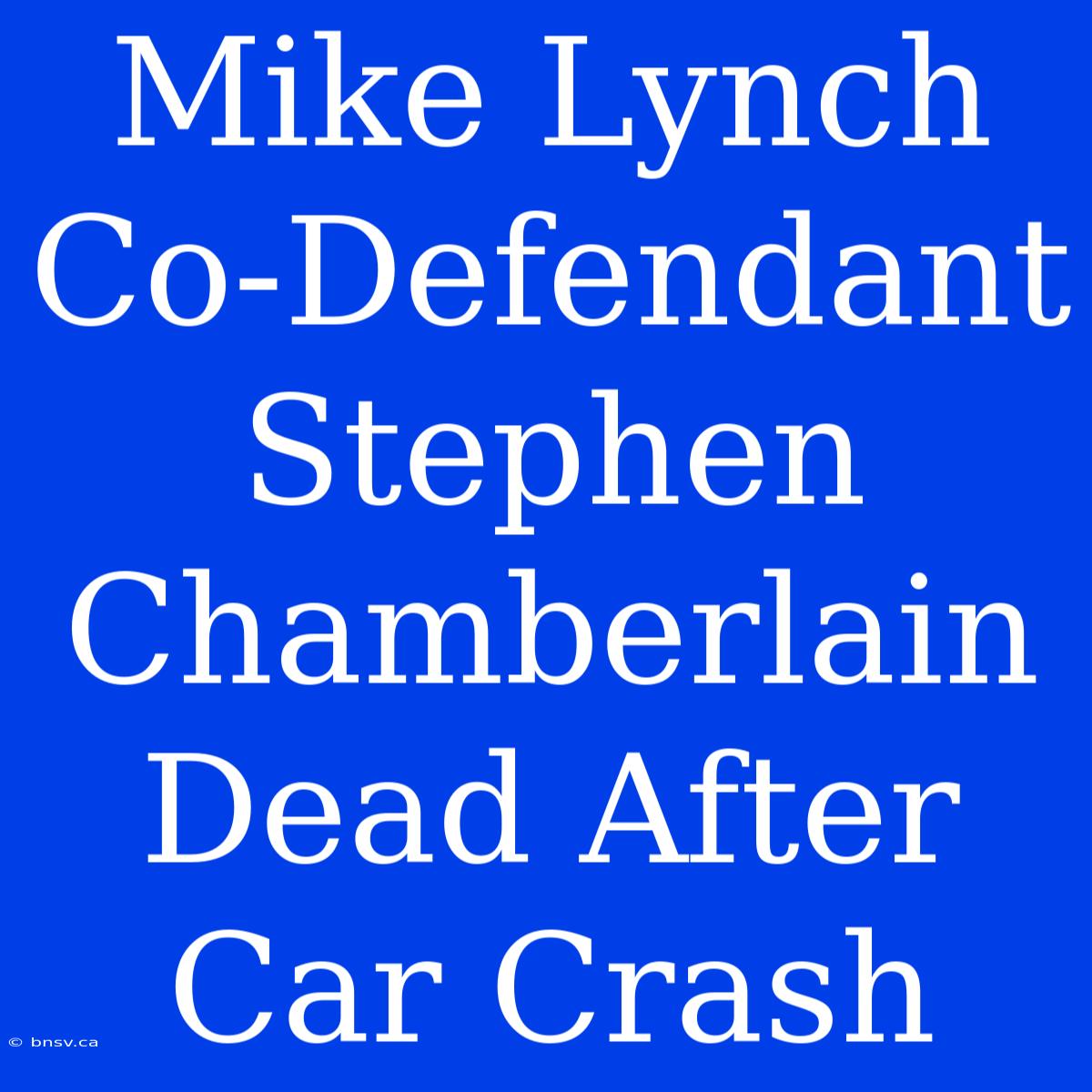 Mike Lynch Co-Defendant Stephen Chamberlain Dead After Car Crash