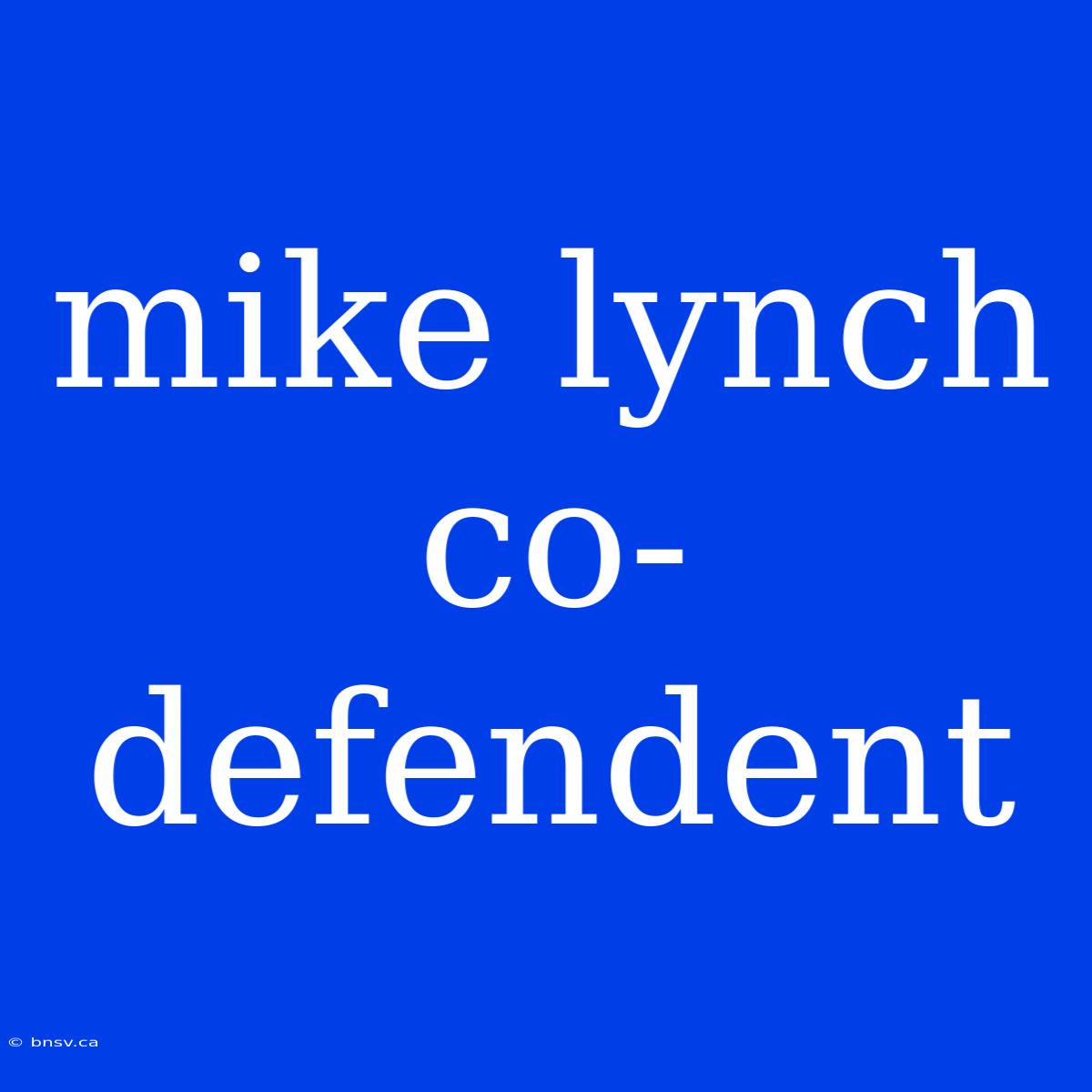 Mike Lynch Co-defendent