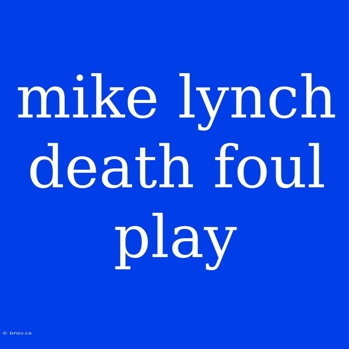 Mike Lynch Death Foul Play