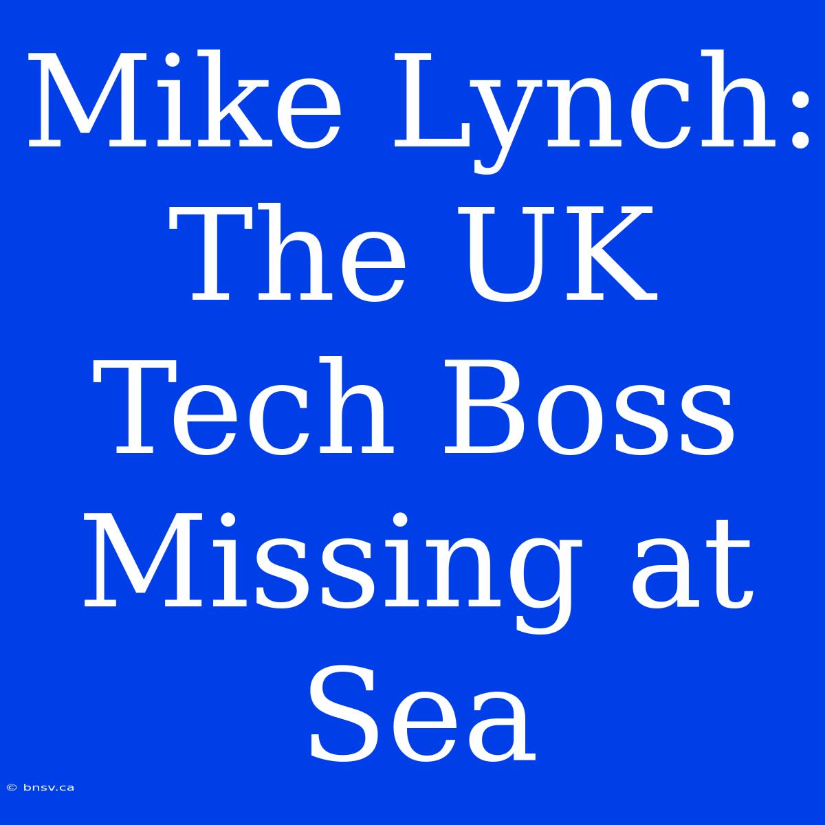 Mike Lynch: The UK Tech Boss Missing At Sea