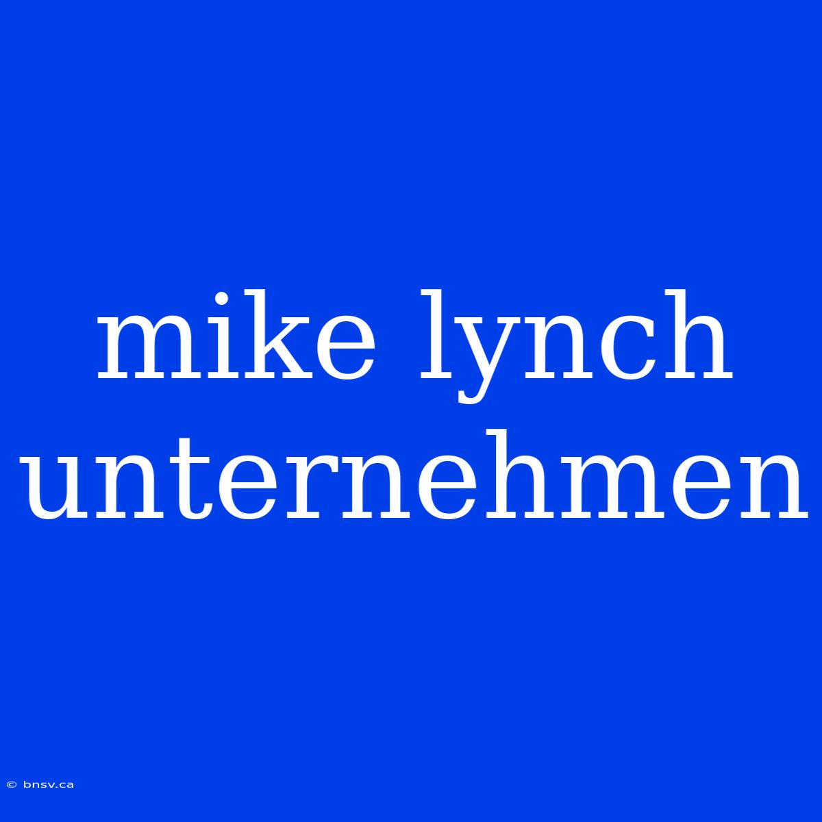 Mike Lynch Unternehmen