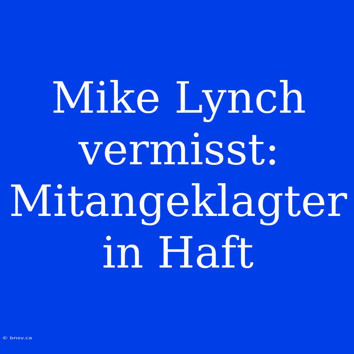 Mike Lynch Vermisst: Mitangeklagter In Haft