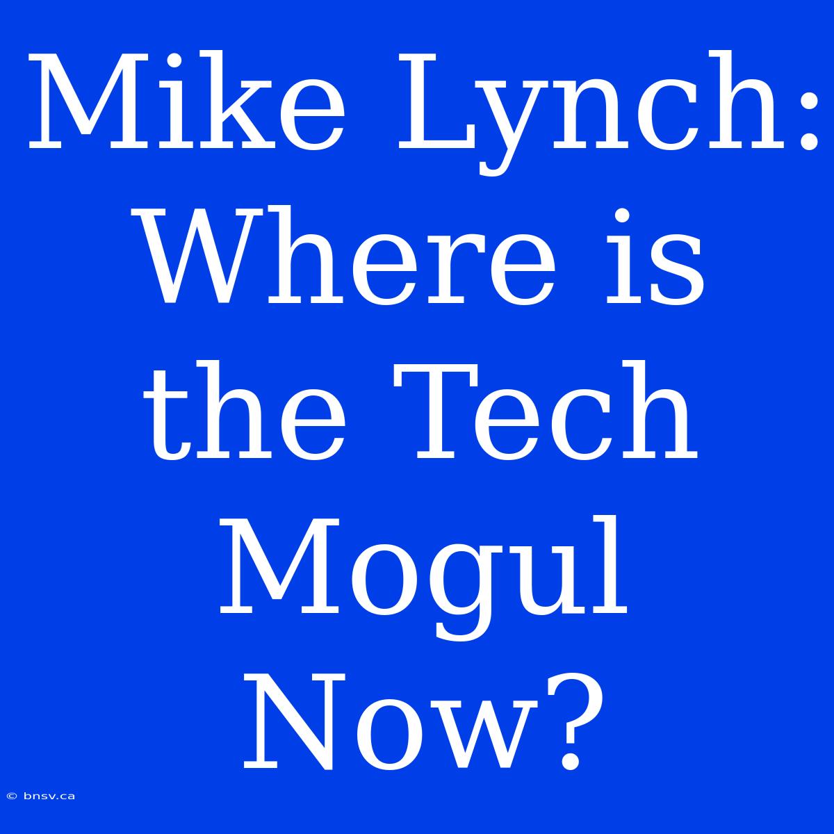 Mike Lynch: Where Is The Tech Mogul Now?