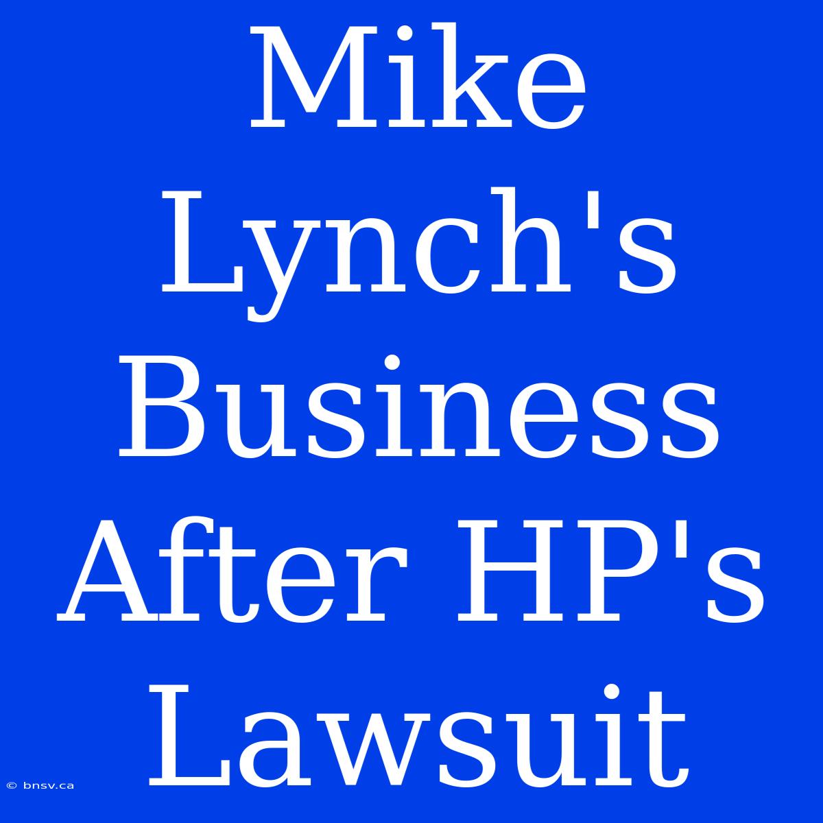 Mike Lynch's Business After HP's Lawsuit