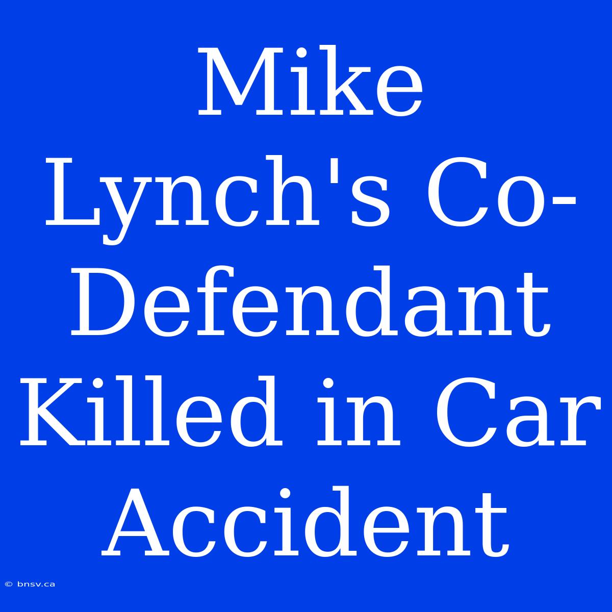 Mike Lynch's Co-Defendant Killed In Car Accident