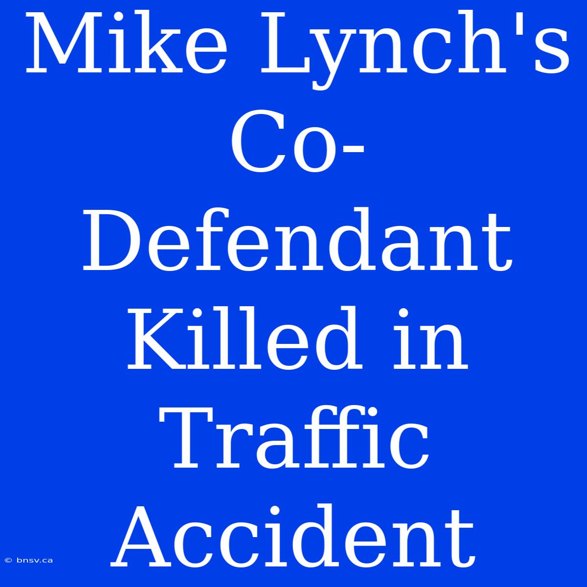 Mike Lynch's Co-Defendant Killed In Traffic Accident