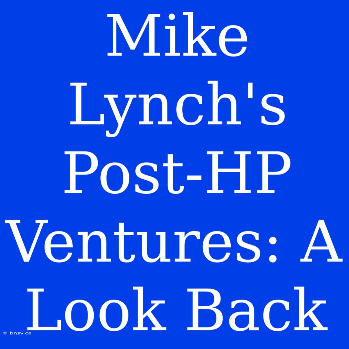 Mike Lynch's Post-HP Ventures: A Look Back