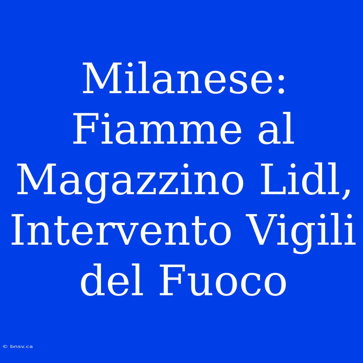 Milanese: Fiamme Al Magazzino Lidl, Intervento Vigili Del Fuoco