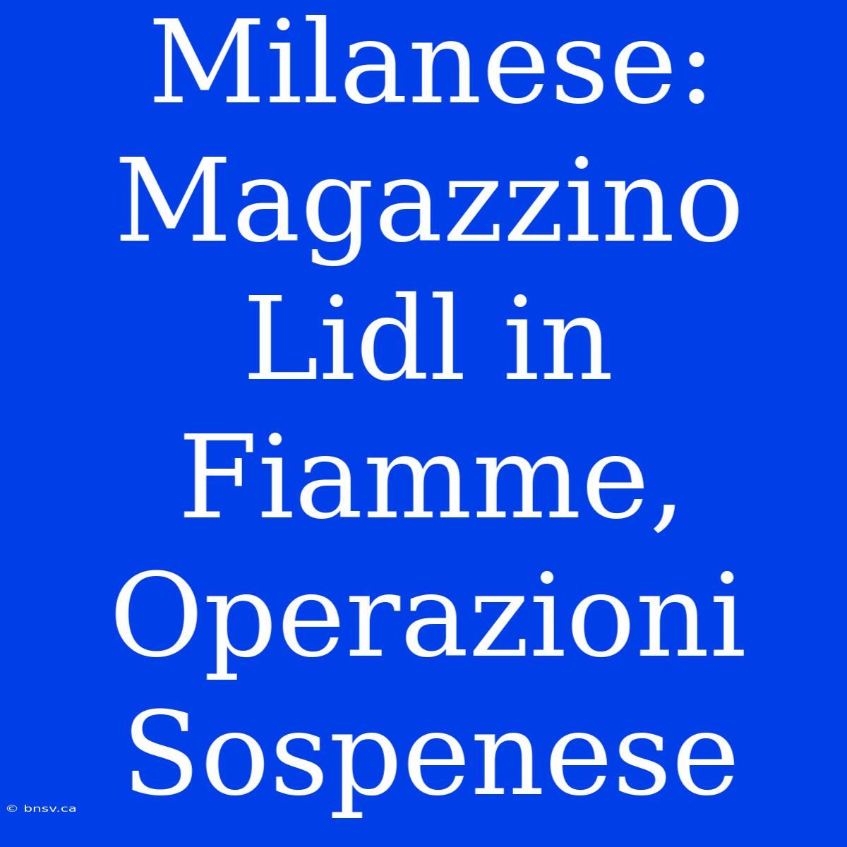 Milanese: Magazzino Lidl In Fiamme, Operazioni Sospenese