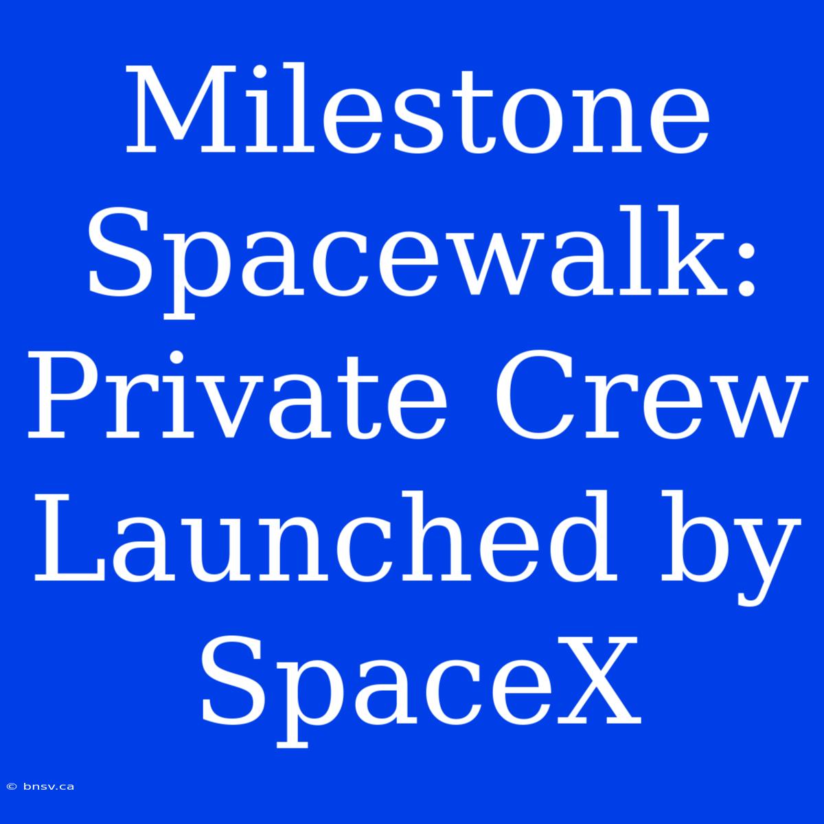 Milestone Spacewalk: Private Crew Launched By SpaceX