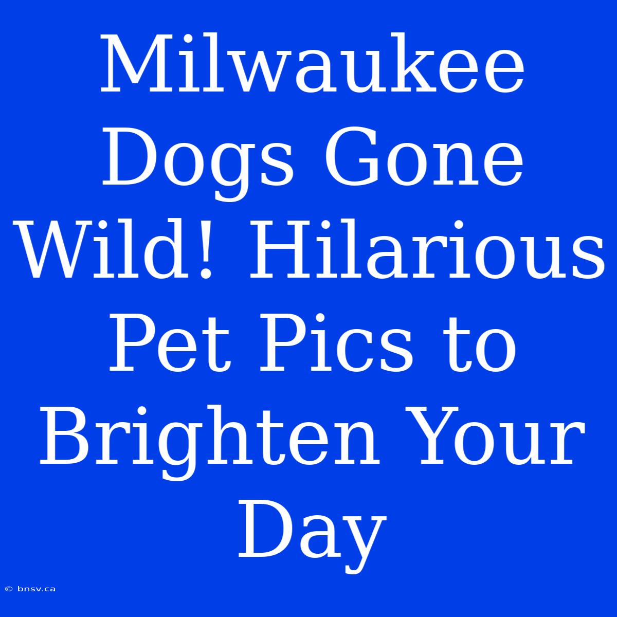 Milwaukee Dogs Gone Wild! Hilarious Pet Pics To Brighten Your Day