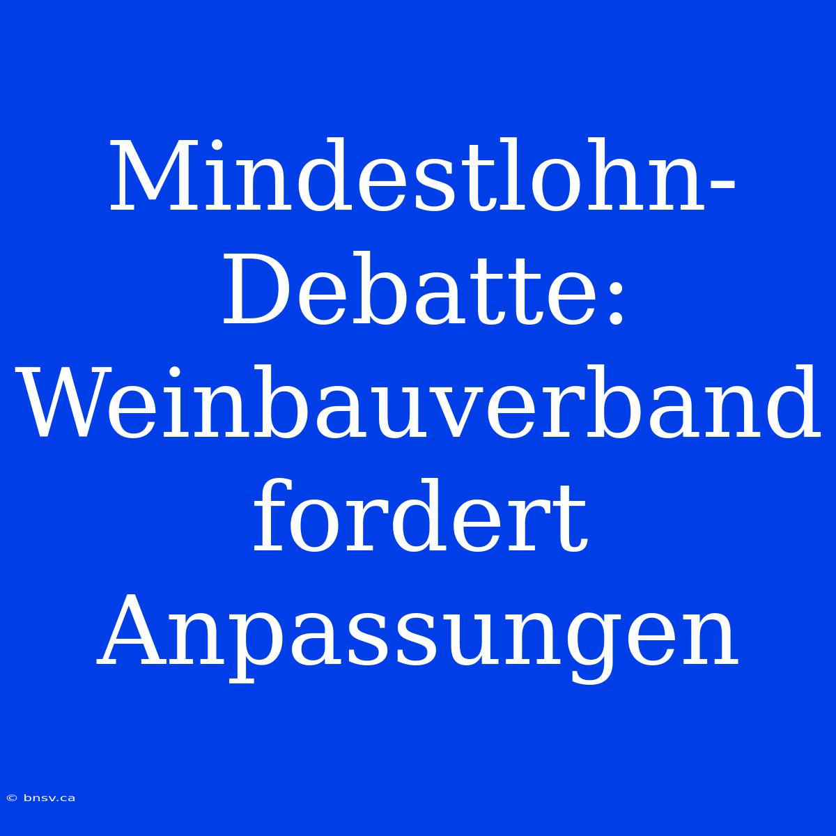 Mindestlohn-Debatte: Weinbauverband Fordert Anpassungen