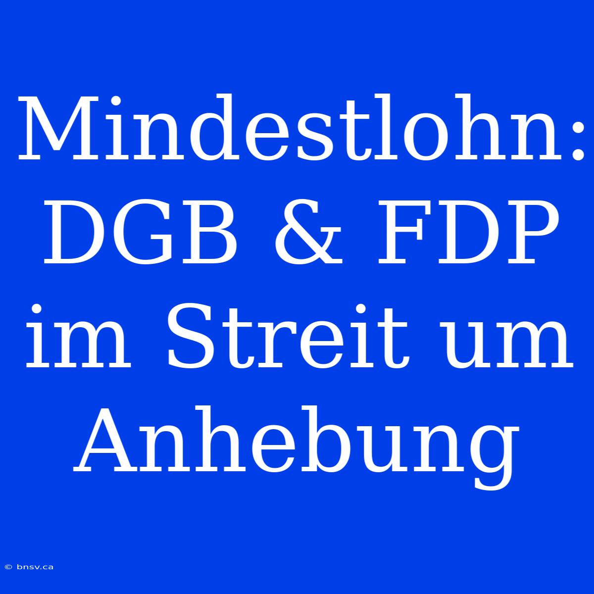 Mindestlohn: DGB & FDP Im Streit Um Anhebung