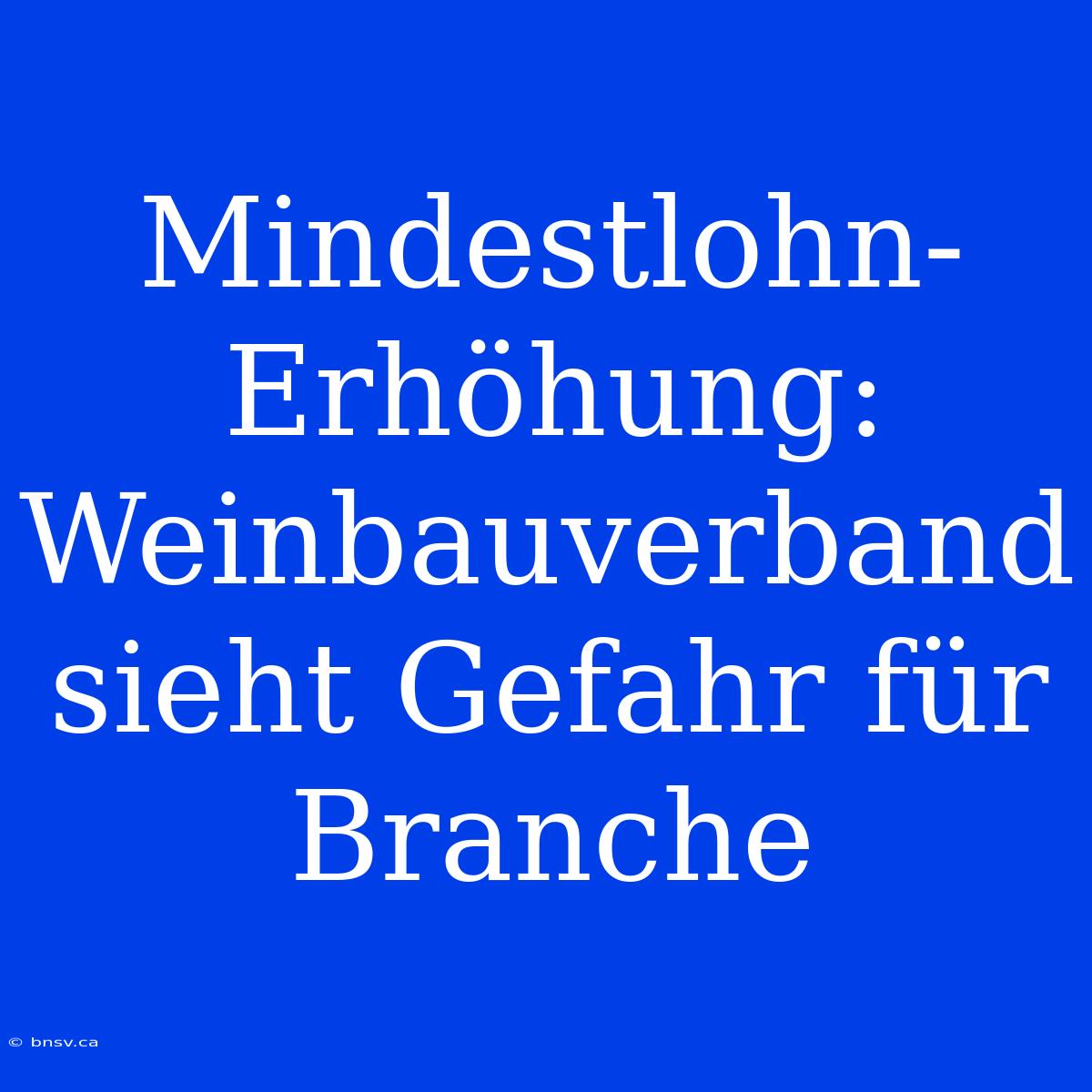 Mindestlohn-Erhöhung: Weinbauverband Sieht Gefahr Für Branche