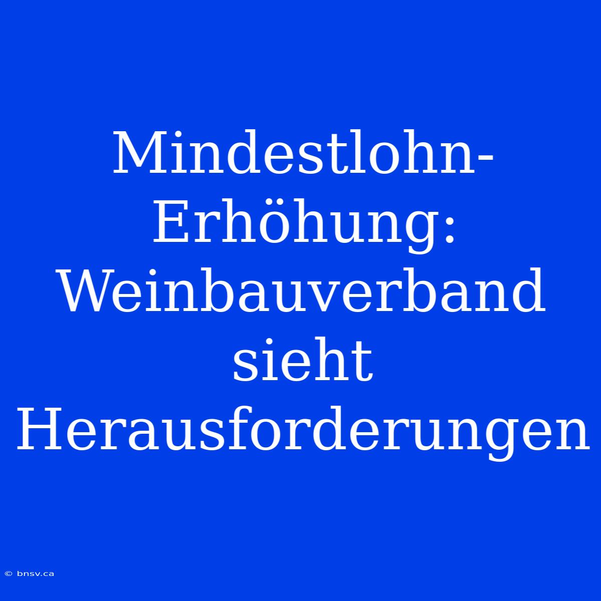 Mindestlohn-Erhöhung: Weinbauverband Sieht Herausforderungen