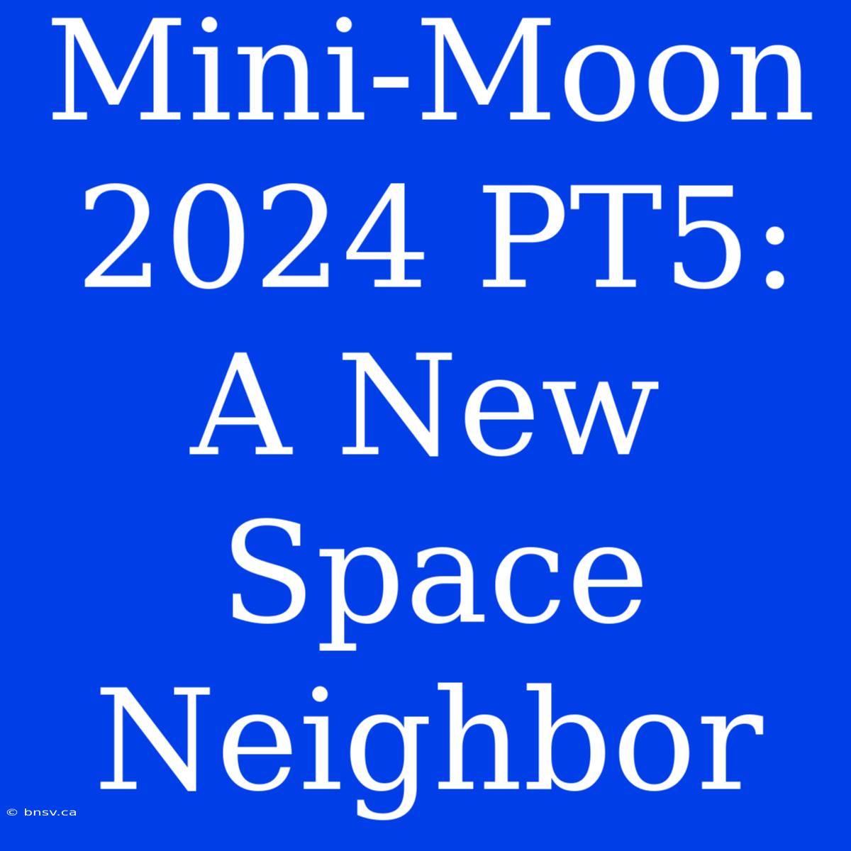 Mini-Moon 2024 PT5:  A New Space Neighbor