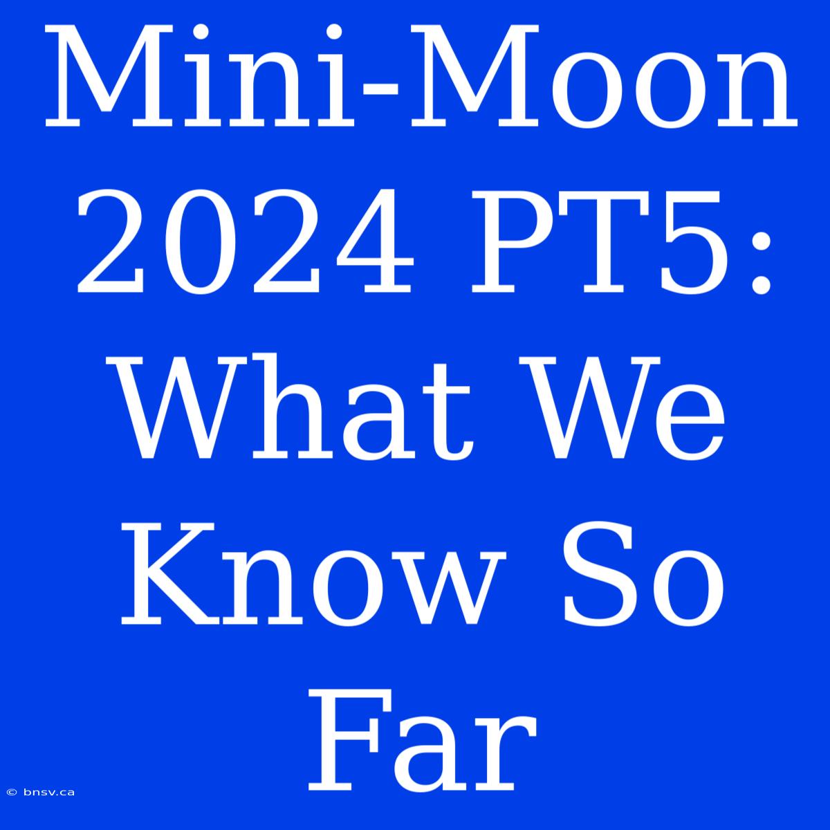 Mini-Moon 2024 PT5:  What We Know So Far