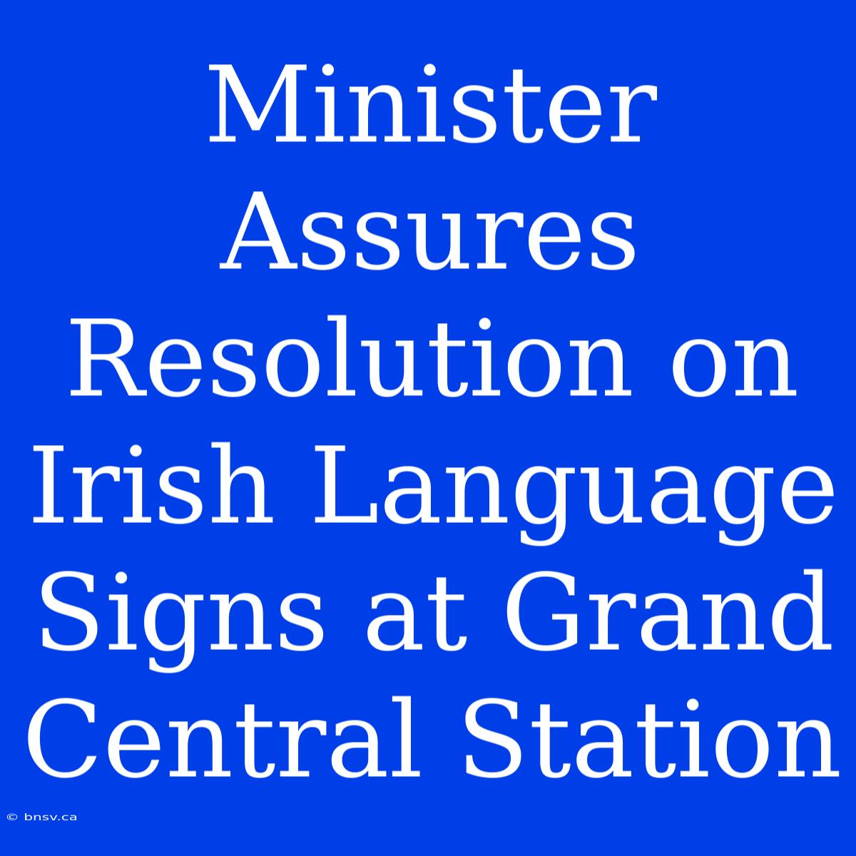 Minister Assures Resolution On Irish Language Signs At Grand Central Station