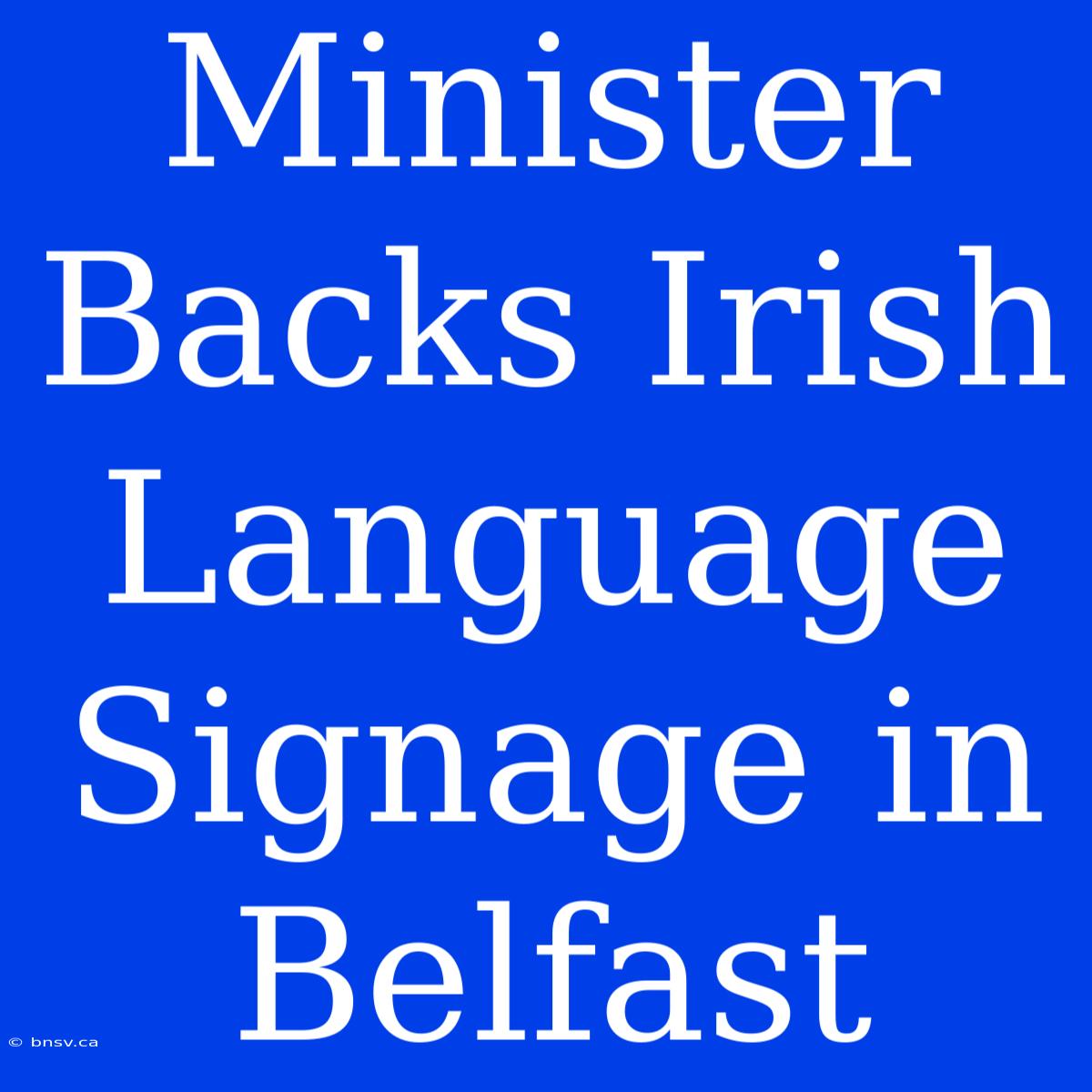 Minister Backs Irish Language Signage In Belfast