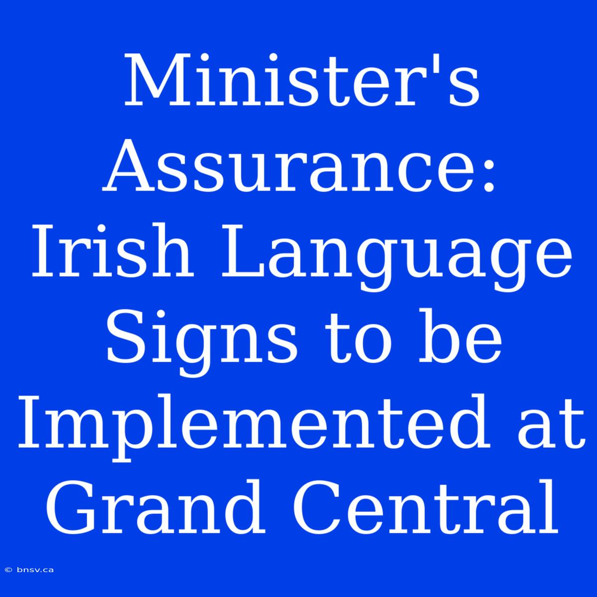 Minister's Assurance: Irish Language Signs To Be Implemented At Grand Central