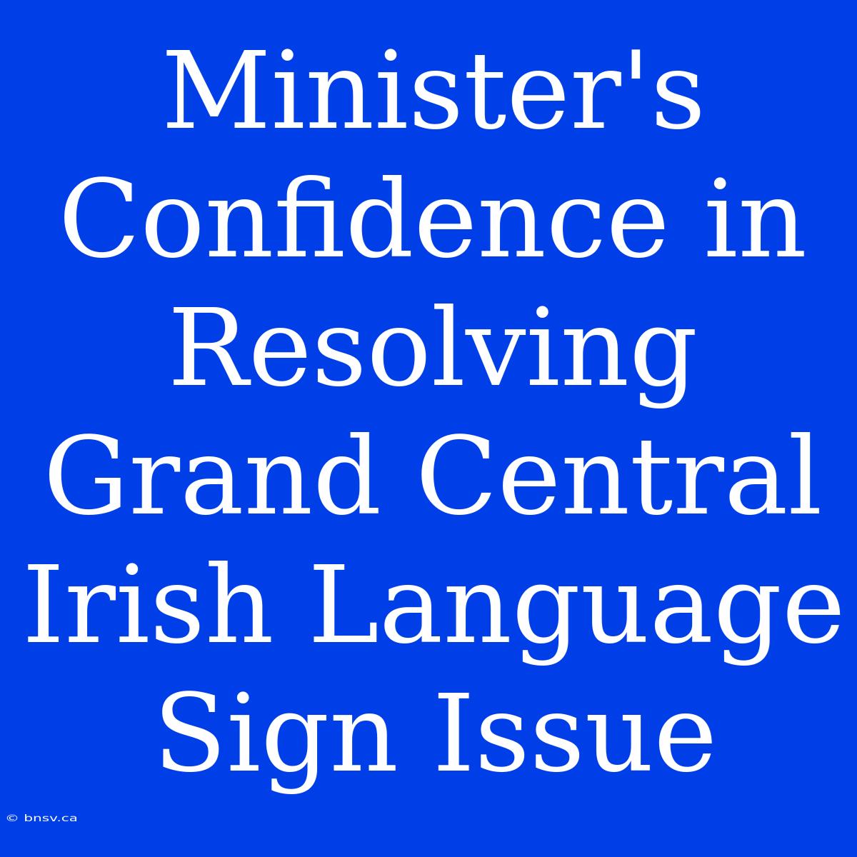 Minister's Confidence In Resolving Grand Central Irish Language Sign Issue