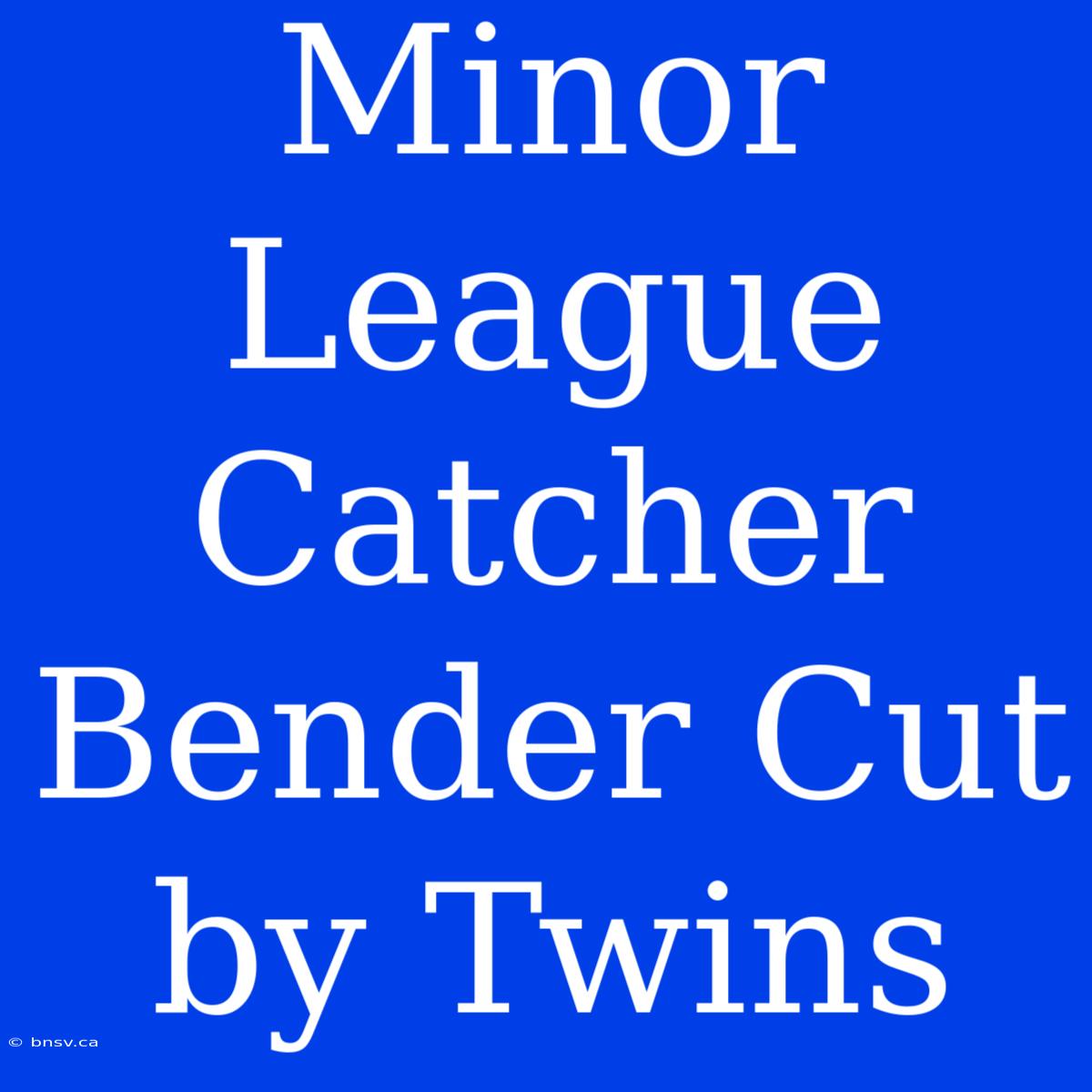 Minor League Catcher Bender Cut By Twins