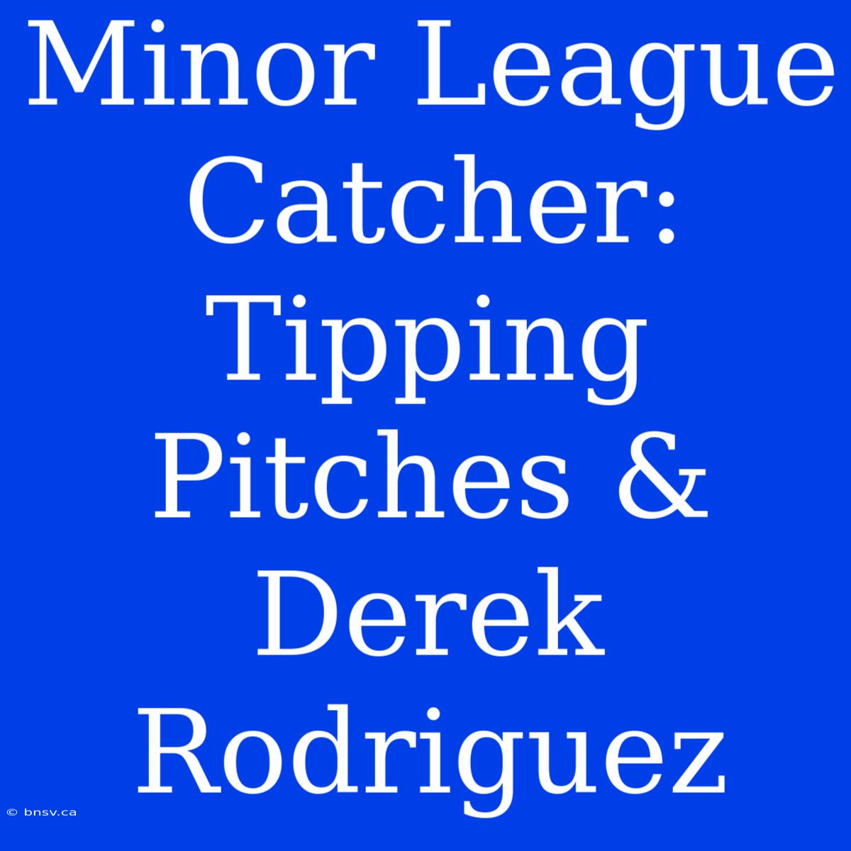 Minor League Catcher: Tipping Pitches & Derek Rodriguez