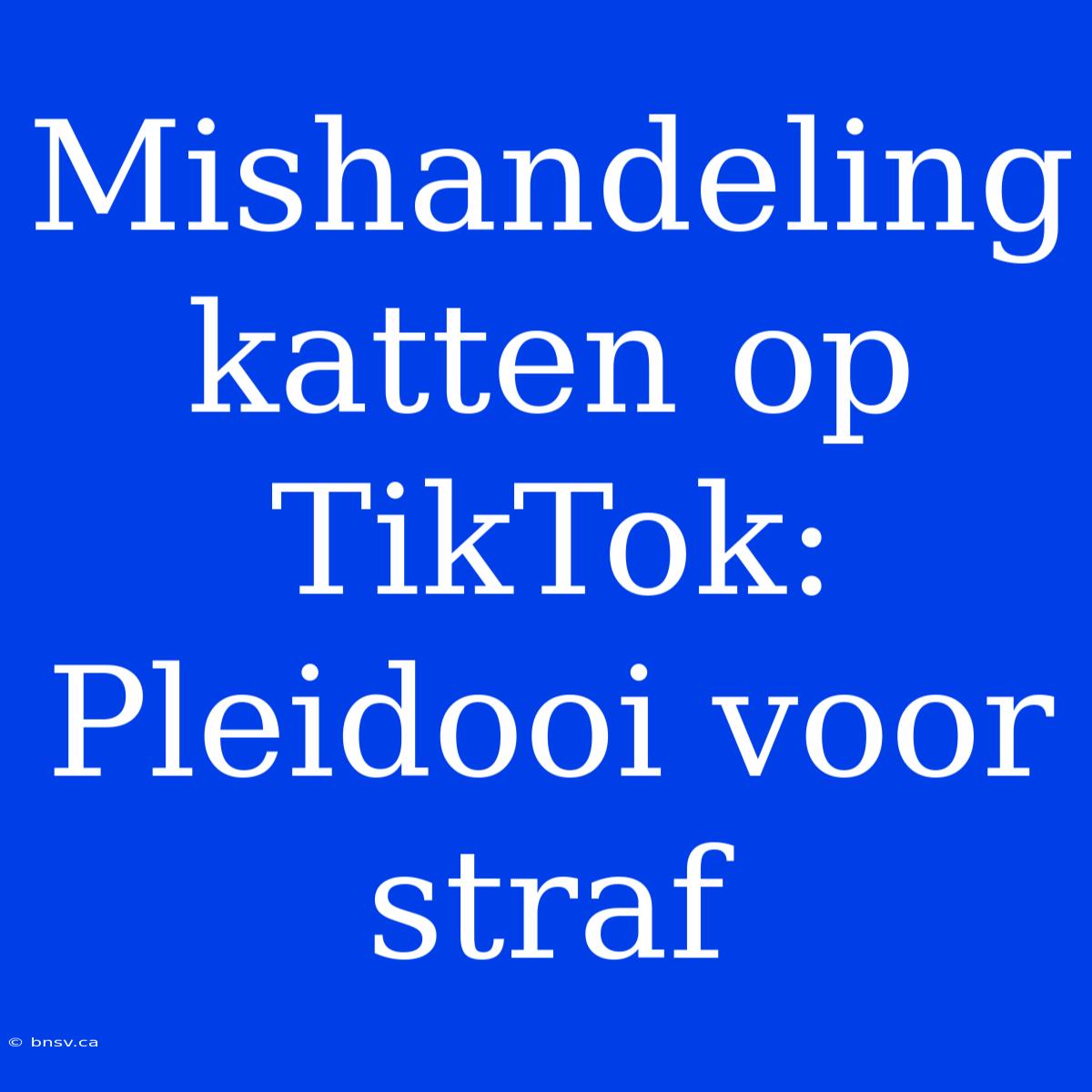 Mishandeling Katten Op TikTok:  Pleidooi Voor Straf