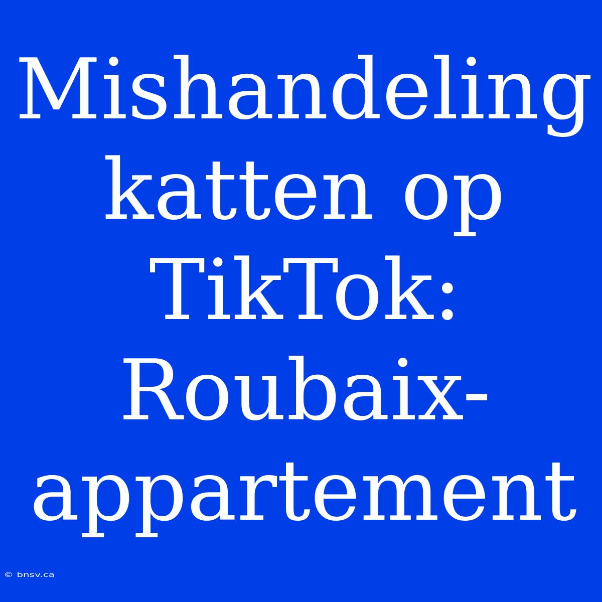 Mishandeling Katten Op TikTok: Roubaix-appartement