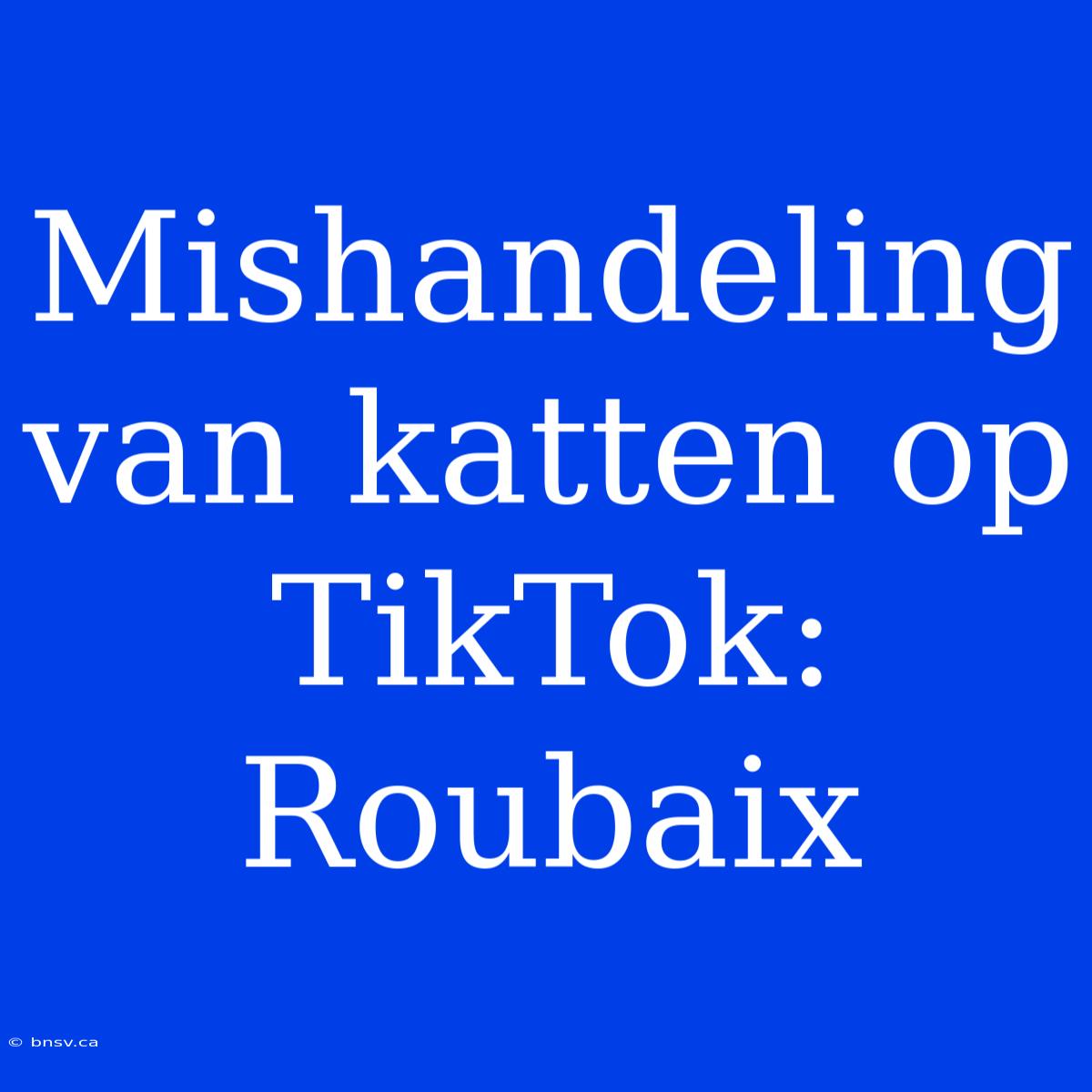 Mishandeling Van Katten Op TikTok: Roubaix