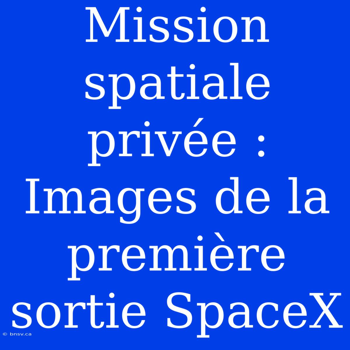 Mission Spatiale Privée : Images De La Première Sortie SpaceX