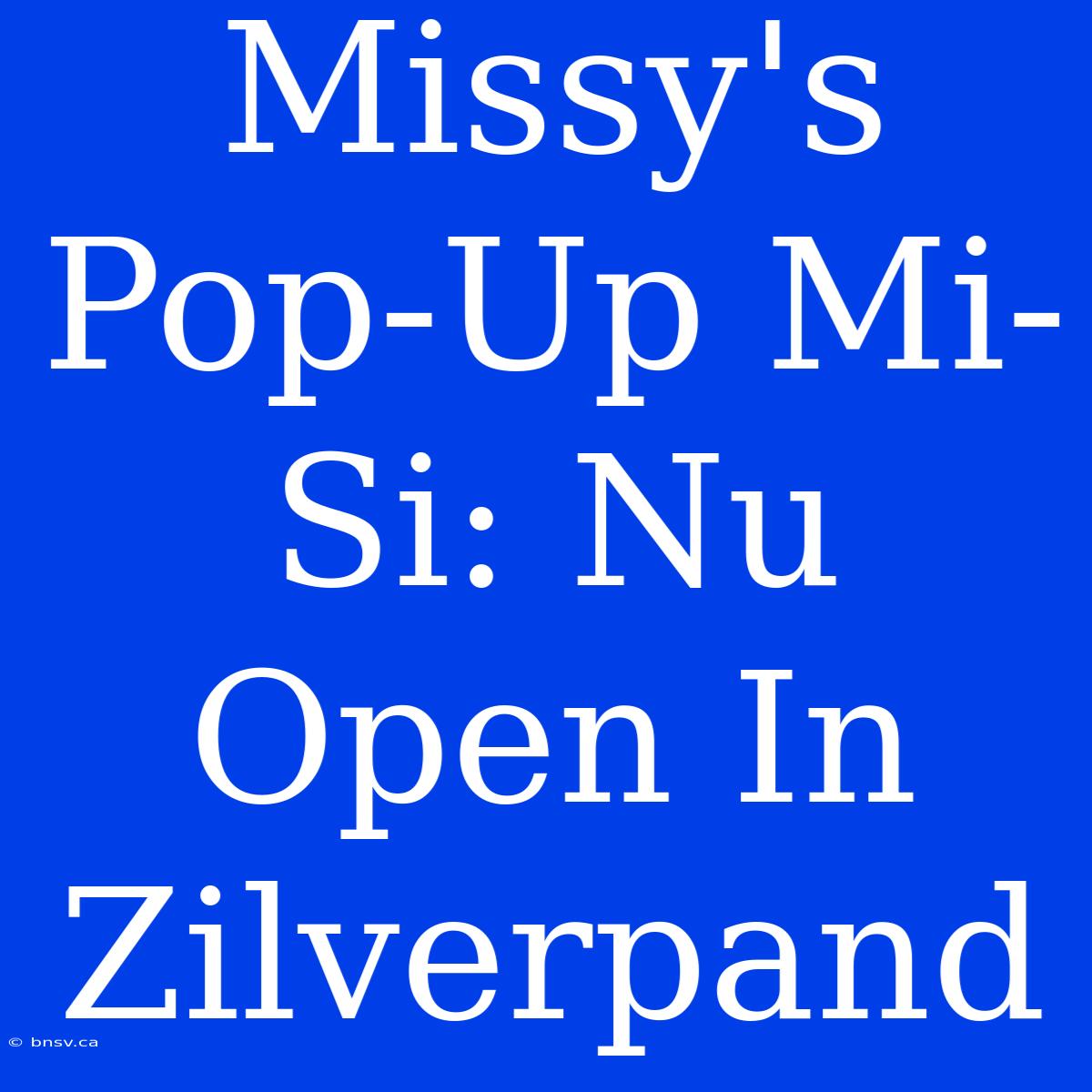 Missy's Pop-Up Mi-Si: Nu Open In Zilverpand