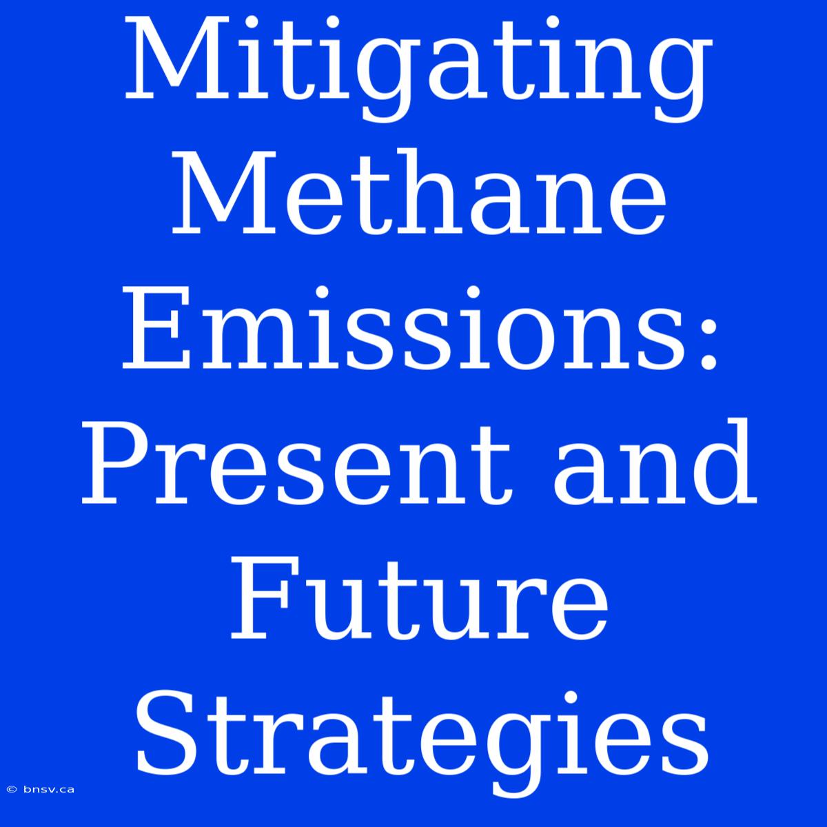 Mitigating Methane Emissions: Present And Future Strategies