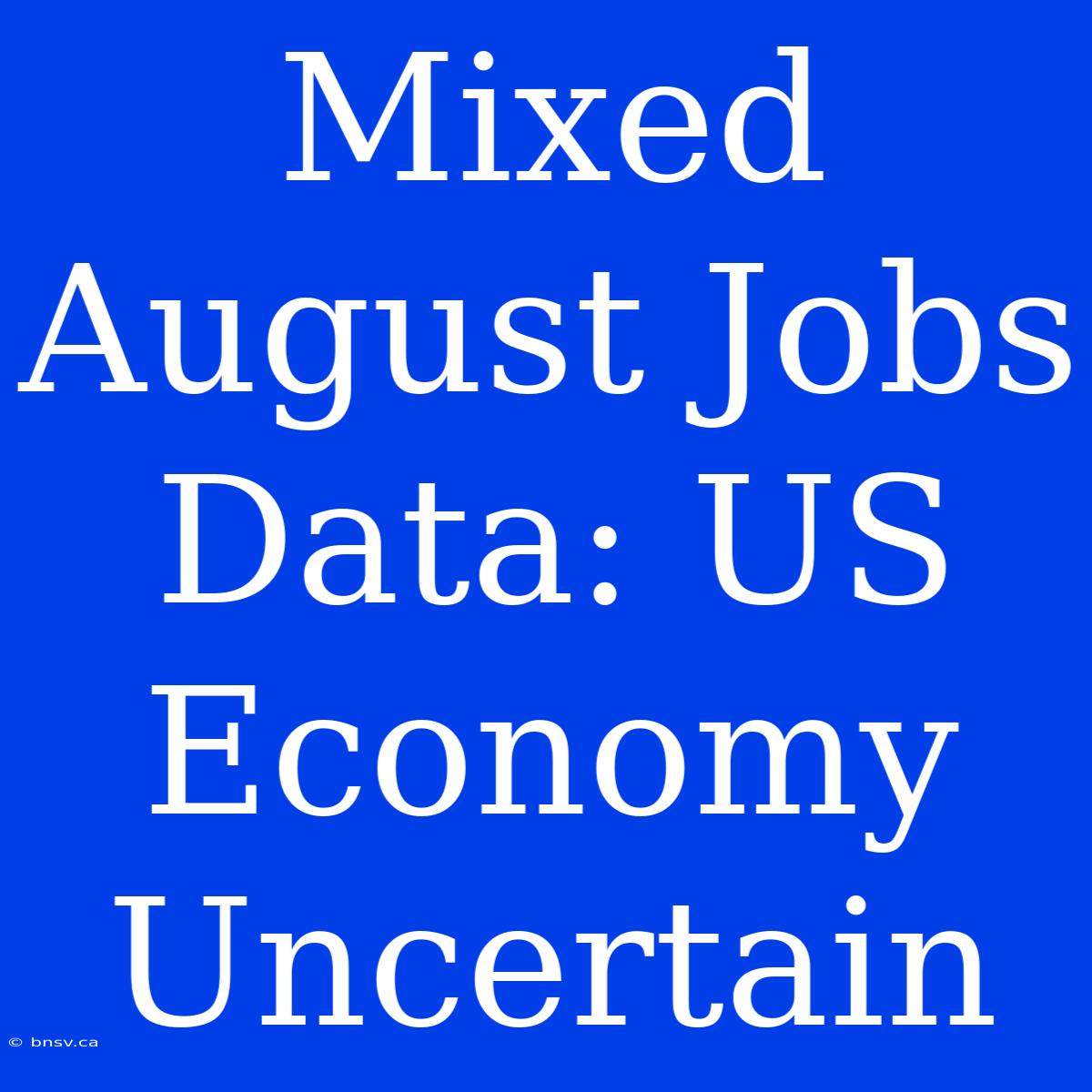 Mixed August Jobs Data: US Economy Uncertain