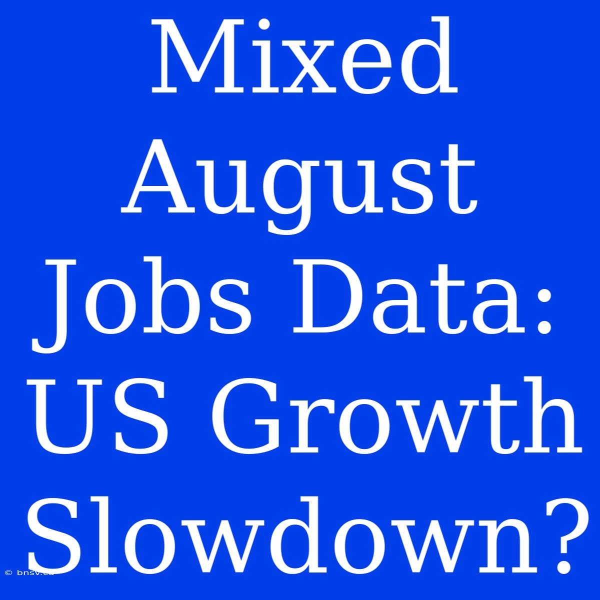 Mixed August Jobs Data: US Growth Slowdown?