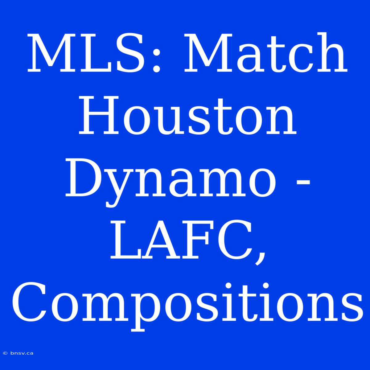 MLS: Match Houston Dynamo - LAFC, Compositions