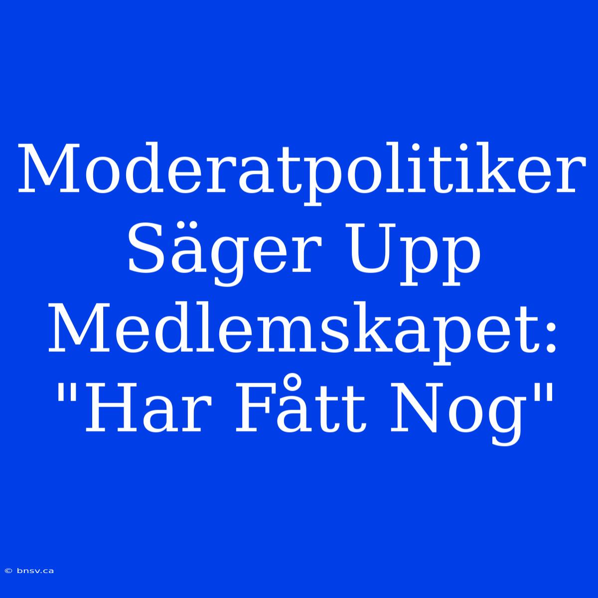 Moderatpolitiker Säger Upp Medlemskapet: 