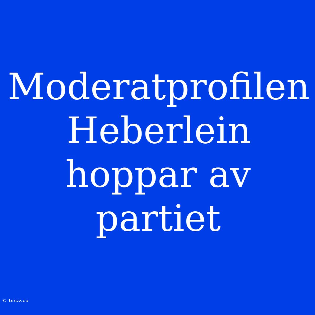 Moderatprofilen Heberlein Hoppar Av Partiet