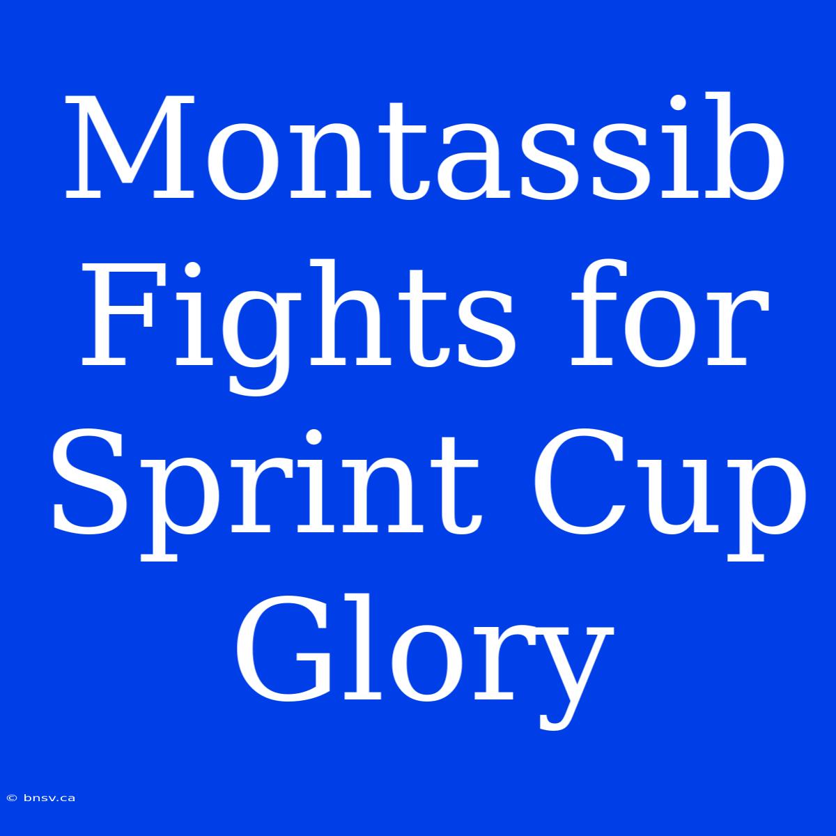 Montassib Fights For Sprint Cup Glory