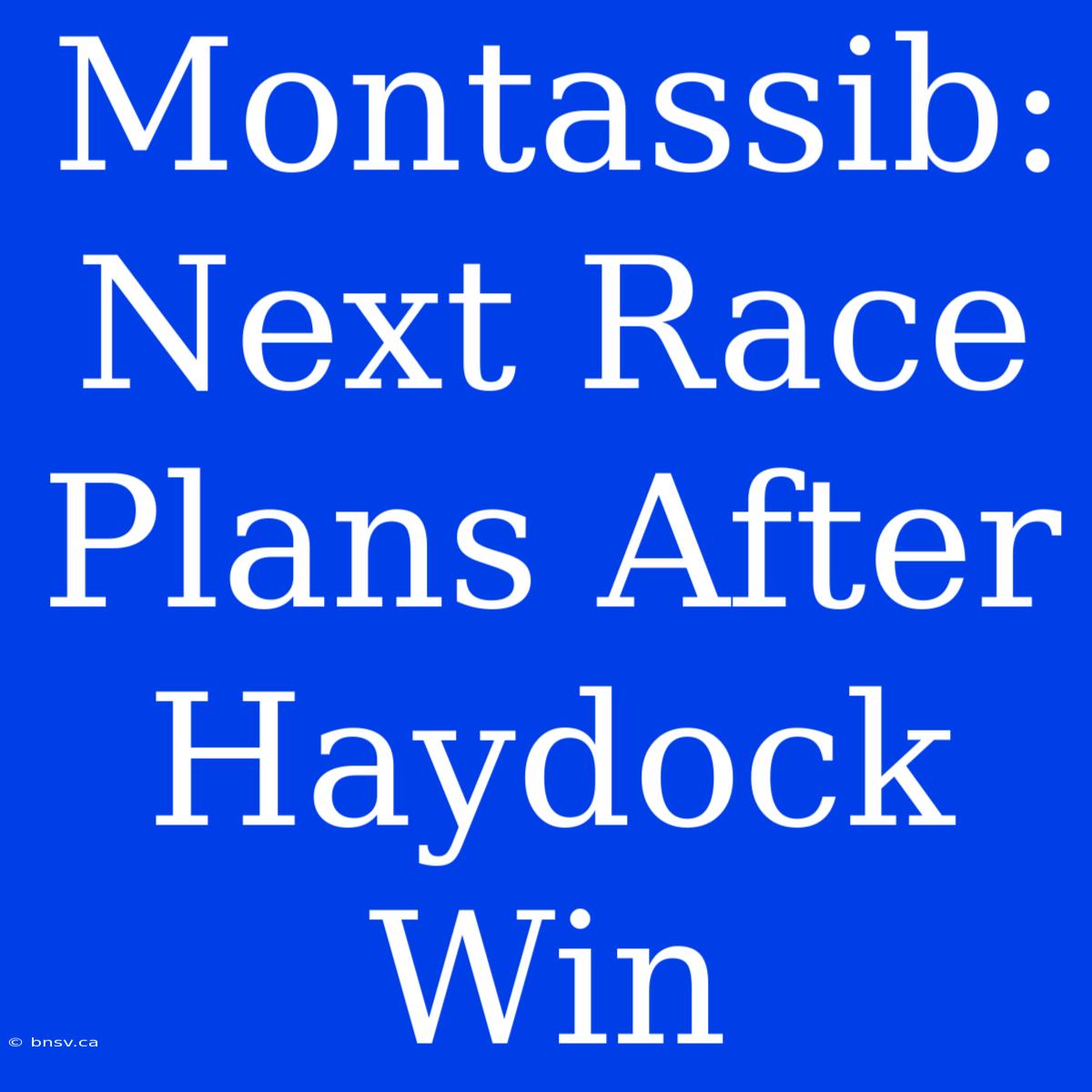 Montassib: Next Race Plans After Haydock Win