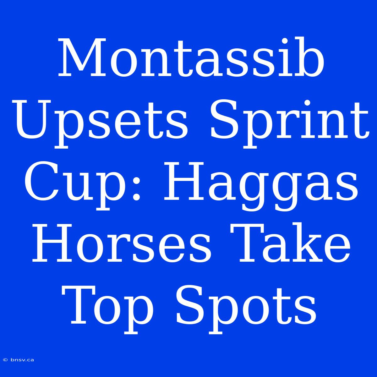 Montassib Upsets Sprint Cup: Haggas Horses Take Top Spots