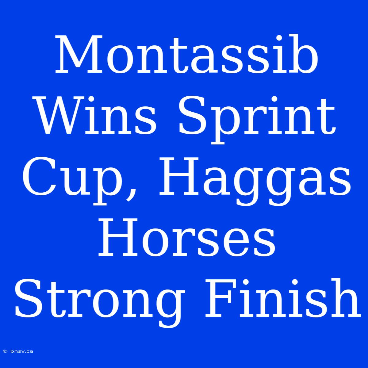 Montassib Wins Sprint Cup, Haggas Horses Strong Finish