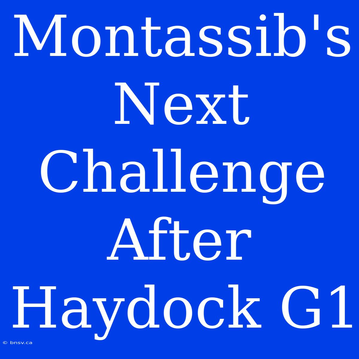 Montassib's Next Challenge After Haydock G1