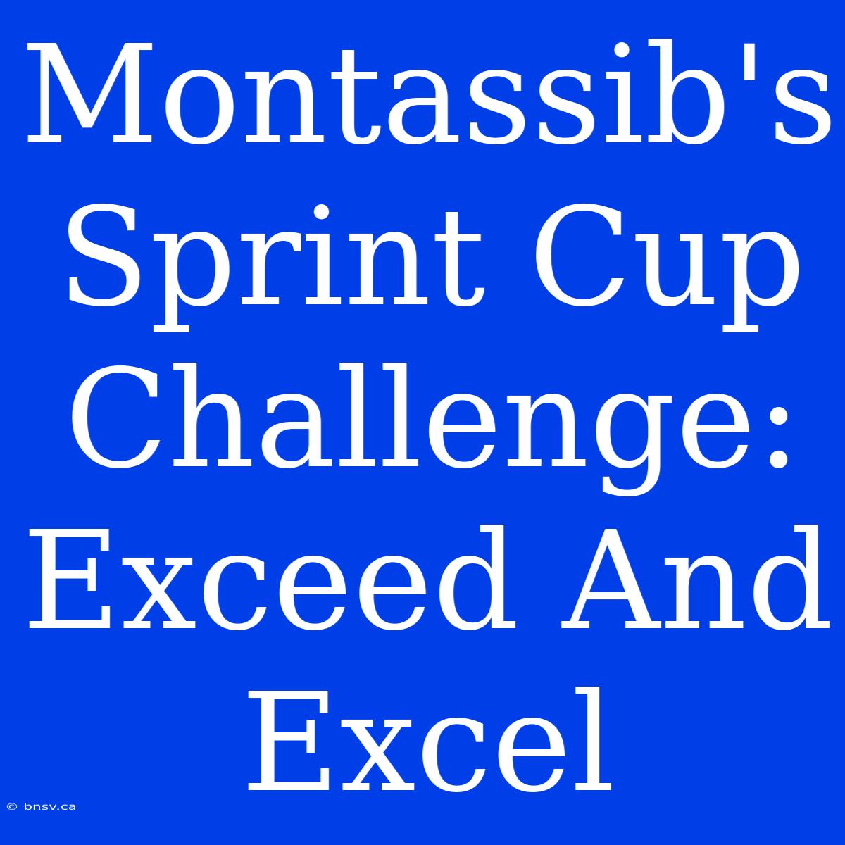 Montassib's Sprint Cup Challenge: Exceed And Excel