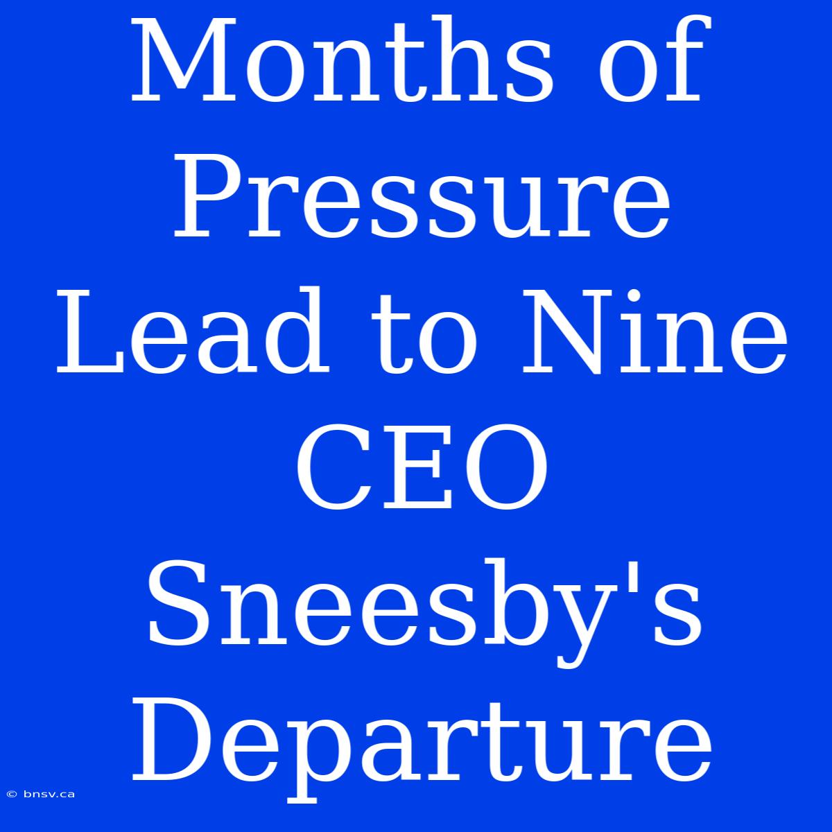 Months Of Pressure Lead To Nine CEO Sneesby's Departure