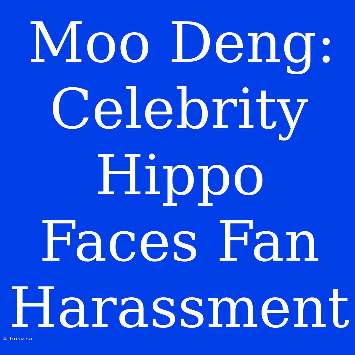 Moo Deng:  Celebrity Hippo Faces Fan Harassment